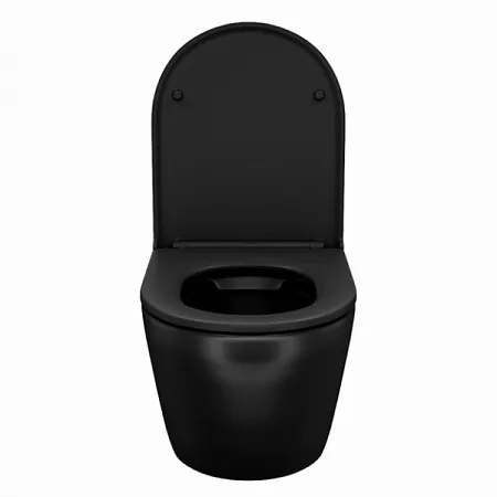 Унитаз подвесной BLANCO безободковый черный матовый BLAR3BMi25 IDDIS