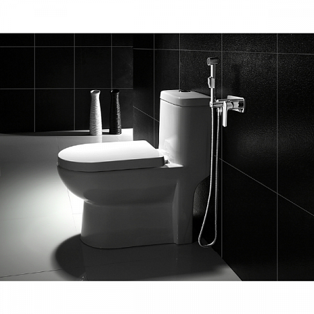 Смеситель с гигиеническим душем встраиваемый Plus Grace LM1519C хром LEMARK