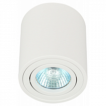 OL21 WH  Светильник настенно-потолочный спот ЭРА OL21 WH MR16/GU10, белый, поворотный на сайте Стройсервис
