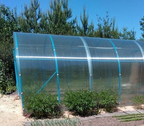 Каркас теплицы труба профильная 20*20  "Корнишон" длина 6,0 м * ширина 3,0 м * высота 2,0 м  шаг 1м  на сайте Стройсервис
