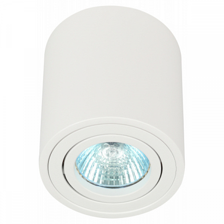 Светильник настенно-потолочный спот ЭРА OL21 WH MR16/GU10, белый, поворотный	 на сайте Стройсервис
