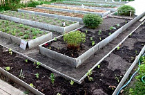 Шифер грядочный 290*3000*8мм на сайте Стройсервис
