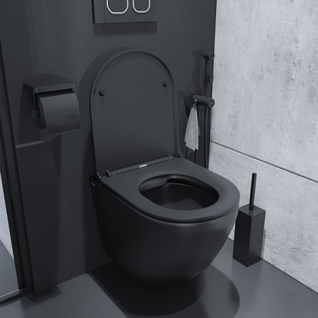 Унитаз подвесной BLANCO безободковый черный матовый BLAR3BMi25 IDDIS (7)