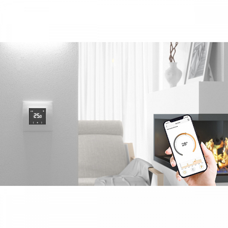Терморегулятор EcoSmart 25 Теплолюкс (2)