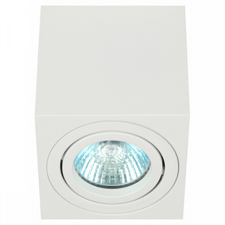 Светильник настенно-потолочный спот ЭРА OL22 WH MR16/GU10, белый, поворотный	 на сайте Стройсервис
